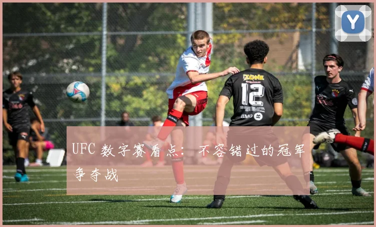 UFC 数字赛看点:不容错过的冠军争夺战