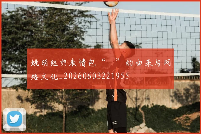 姚明经典表情包“囧”的由来与网络文化_20260603221955